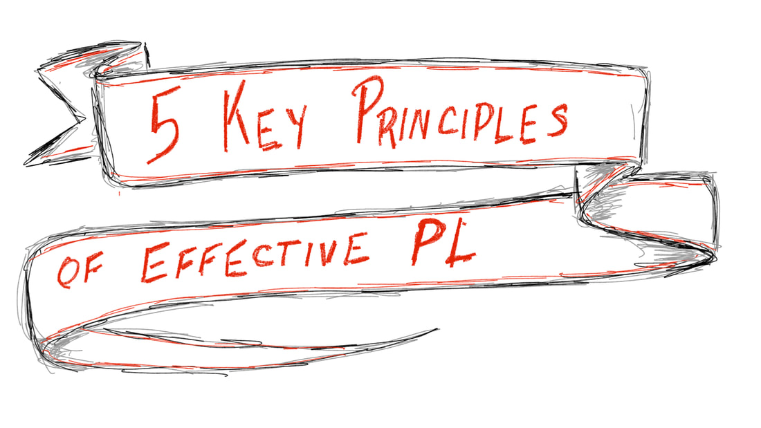 5 Key Principles of Effective PL banner
